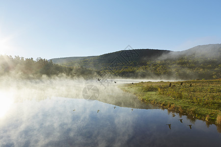 卡茨基尔公园美国纽约州CatskillParkColgate湖野林风景观背景