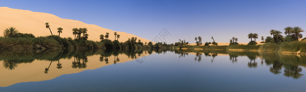 撒哈拉沙漠利比亚费赞的绿洲高清图片