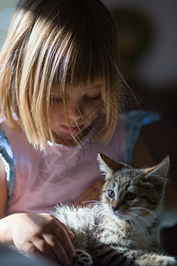女童养小猫图片