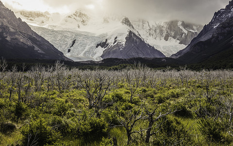 阿根廷巴塔哥尼亚LosGlaciares公园的雪峰山脉上低云的谷地貌图片