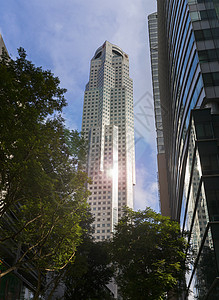 新加坡东南亚金融区摩天大楼低角度视图片