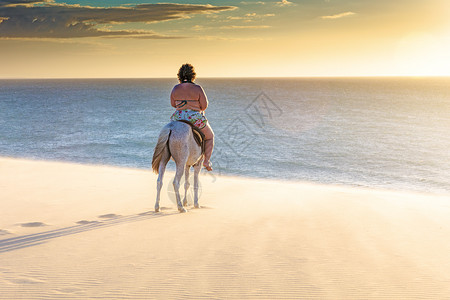 骑马的妇女在海滩看风景图片