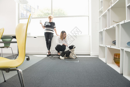 办公室里有宠狗的职场女性图片