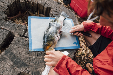 美国圣克鲁斯岛在树桩上杀鱼的年轻人图片