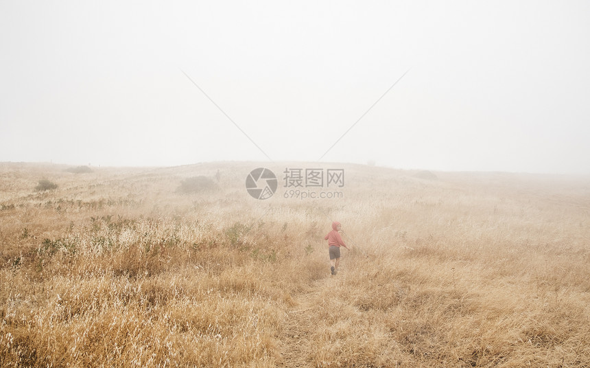 费尔法克斯加利福尼亚州美国北田地风景中男孩背影图片