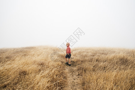 在雾的田地风景中男孩费尔法克斯加利福尼亚州美国北图片