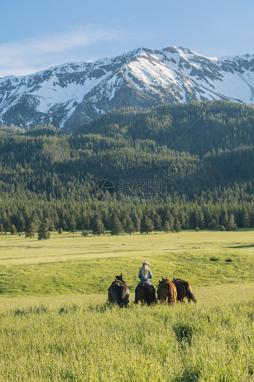 草原上带领四匹马的少女图片