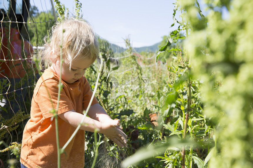 在植物中女幼儿在免费牧场有机农中图片