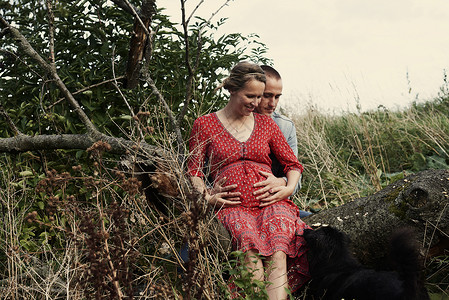 坐在树干上的浪漫成年怀孕夫妇高清图片