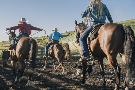 正在骑马的一群牛仔美国俄勒冈州北图片