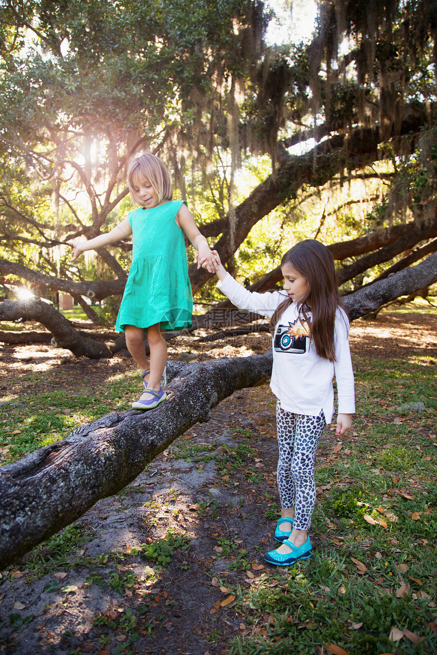 女孩牵着姐妹的手在树枝上行走图片