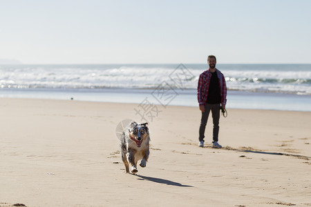 男人在沙滩上与狗玩耍图片