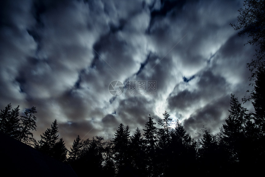 美国华盛顿班布里奇树上的云层图片