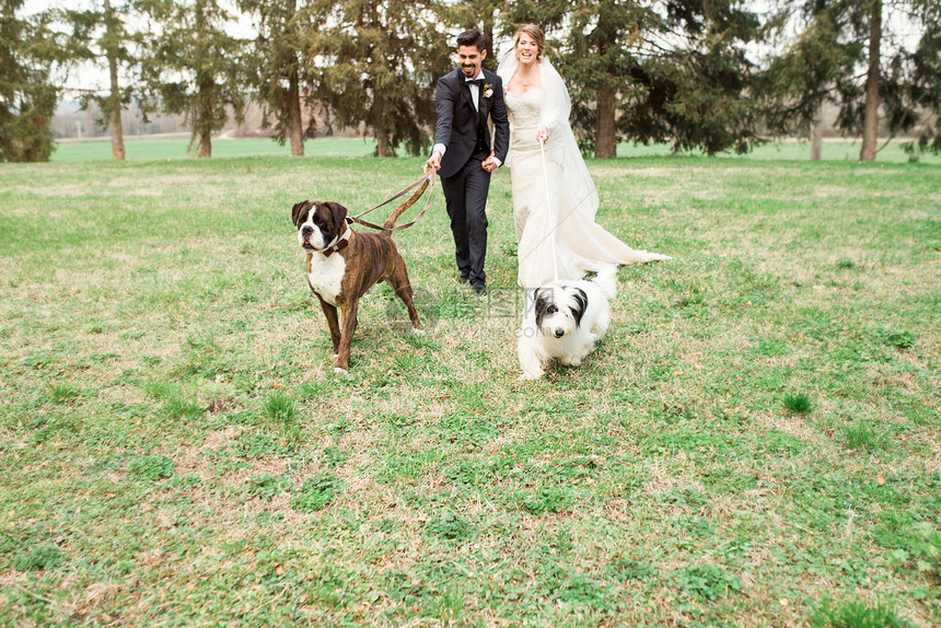 新娘和新郎牵着两只狗在草地上大笑图片