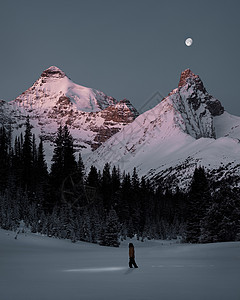 冬季的日出加拿大艾伯塔州贾斯珀公园图片