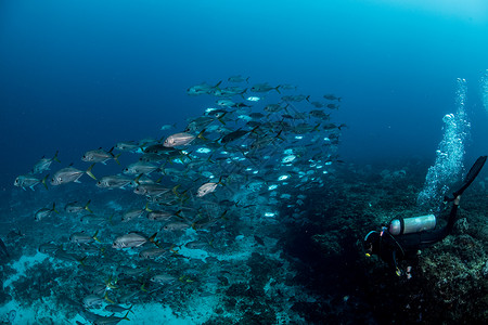 在墨西哥金塔纳罗奥的岛礁高清图片