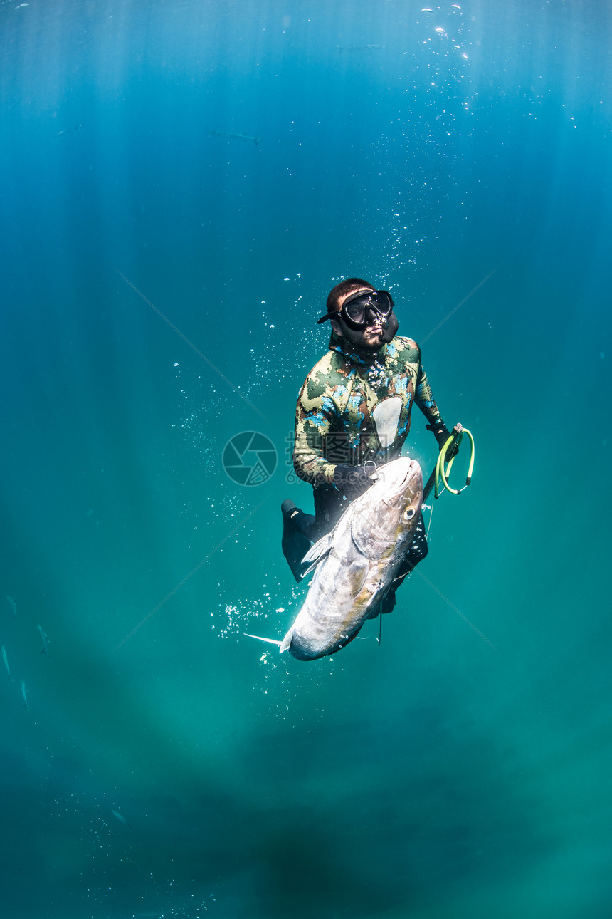 潜水捕获大鱼的人图片