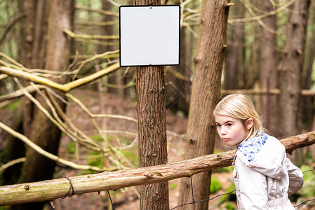 森林里的女孩在树干上的空白通知板旁边高清图片