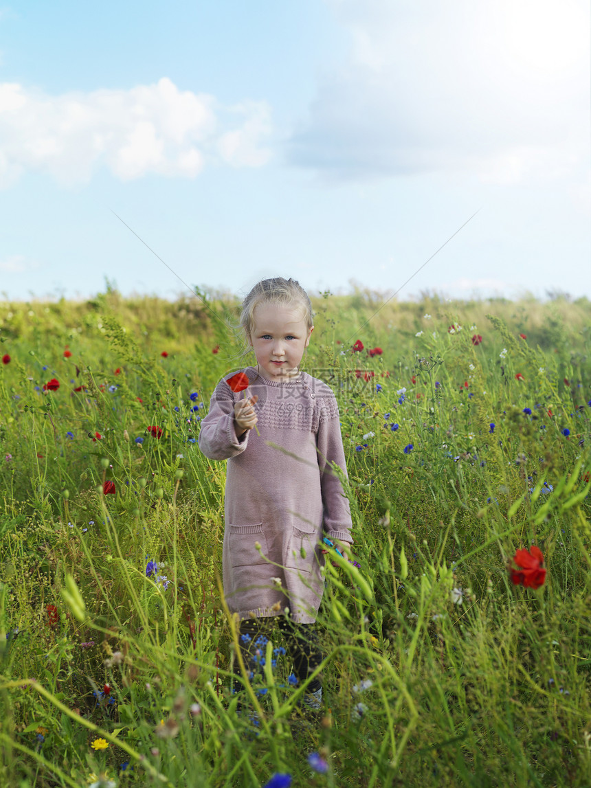 丹麦霍维斯塔登哥本哈根草地上拿着花的孩子图片