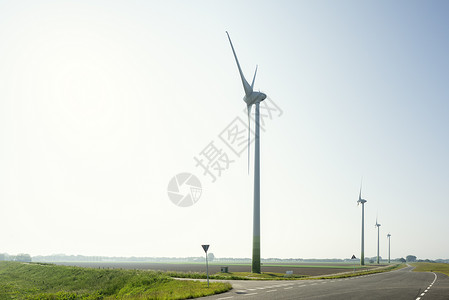 春晨风农场荷兰苏德霍多雷赫特高清图片