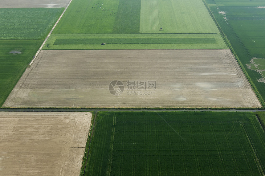 春季田地和乡村公路荷兰图片