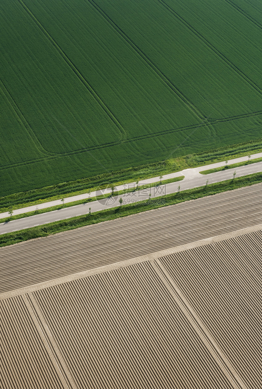 春季田地和乡村公路荷兰图片