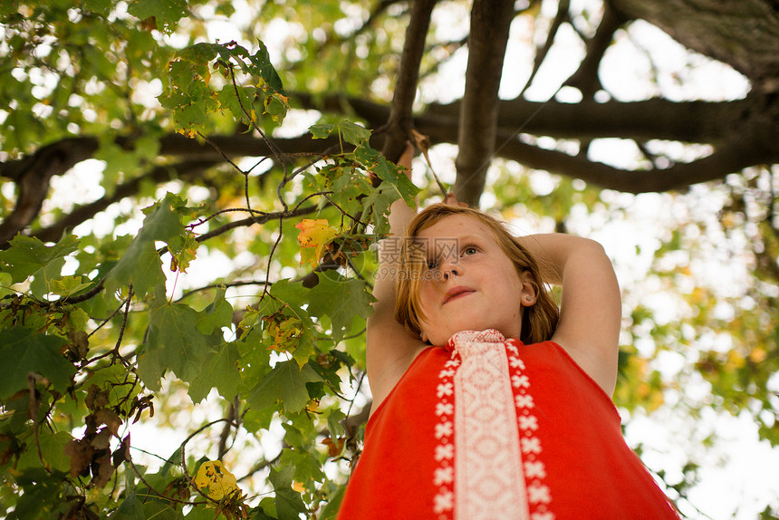 女孩挂在树枝上图片