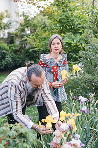 从花园摘花的夫妇图片
