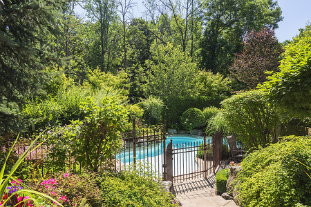 被铁安全栅栏和豪华住宅后院各种灌木和树包围的户外游泳池图片