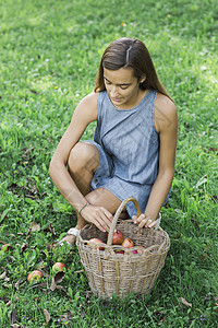 女人在草地上捡苹果图片