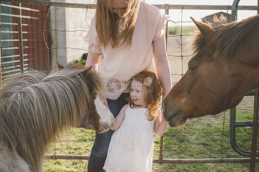 母女在农场里抚摸马匹图片