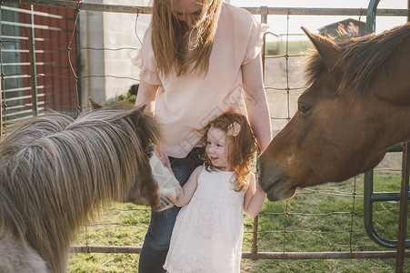 母女在农场里抚摸马匹图片