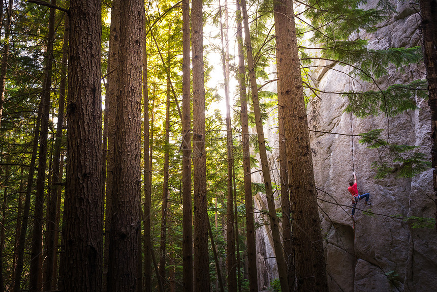 攀岩者在靠近树木的岩石表面攀爬斯阔米什加拿大图片