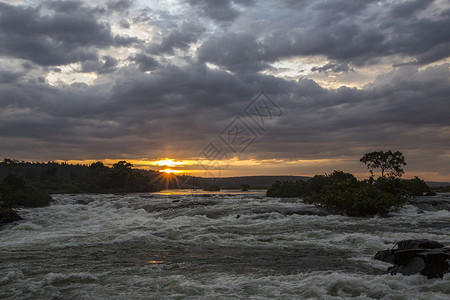 黎明时河尼罗水流强劲乌干达图片