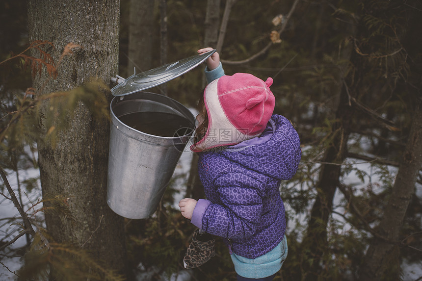 身戴冬帽的女孩在森林树丛中图片