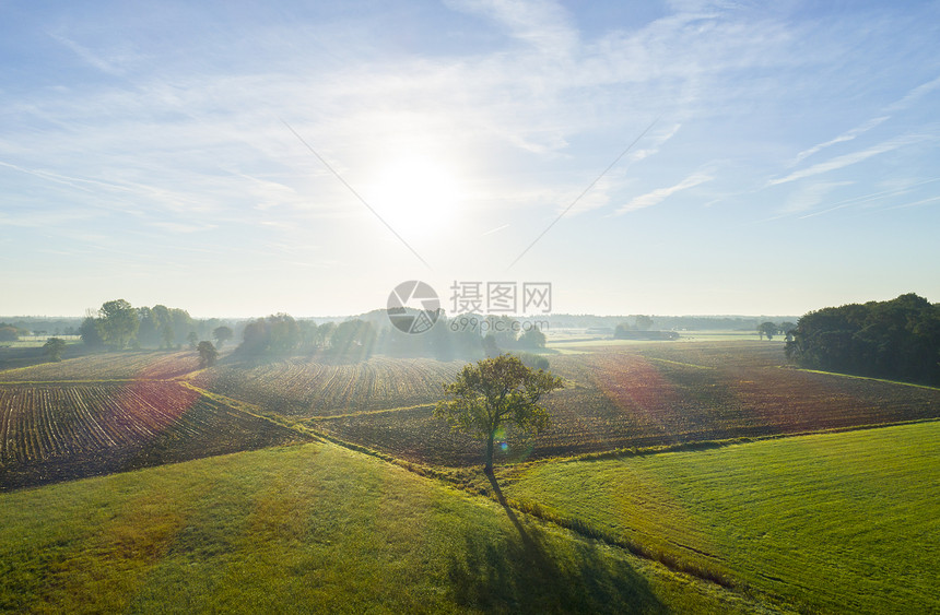 荷兰秋天阳光高观的田地景图片