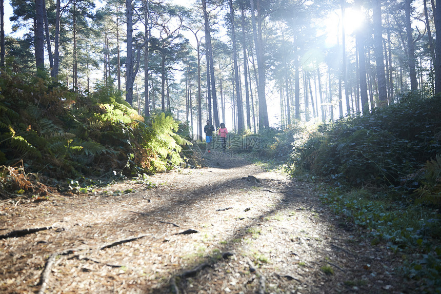 女和男选手跑在日光林中远视图片