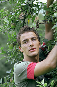 苹果树下的年轻人图片