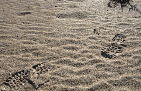 沙中的脚印图片
