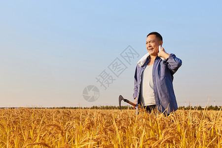 农民收割水稻擦汗形象图片