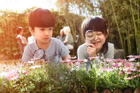 小学生实验两个儿童在庭院里玩耍背景
