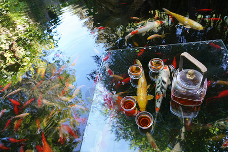 夏日池塘边的茶具背景图片