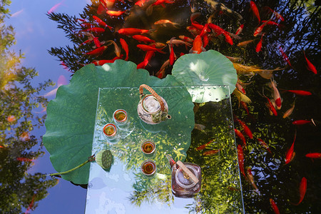 夏日池塘上的茶具图片