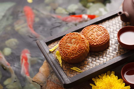 中秋节各个口味的美味月饼高清图片