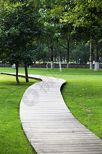 田园路夏天公园木板小路背景