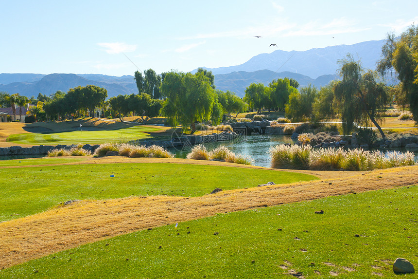 池塘健康生活方式水平构图高尔夫球场图片