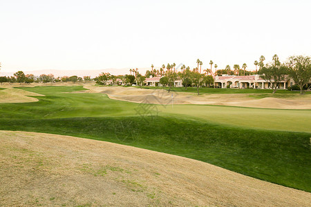 高尔夫球运动草坪高尔夫球场图片