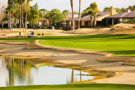 别墅棕榈树草坪高尔夫球场图片
