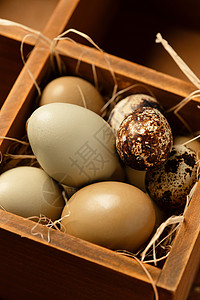 椭圆LOGO蛋白质胆固醇美味木格容器里的鸡蛋和鹌鹑蛋背景