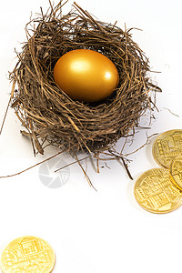 鸟窝里的金蛋和散落的金币图片